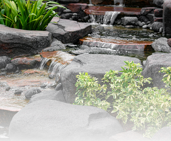 Water Features